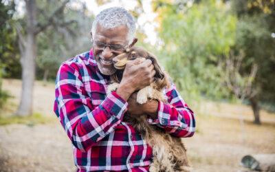 The Best Dogs For Older Adults